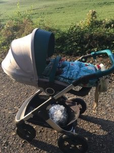 stokke trailz test