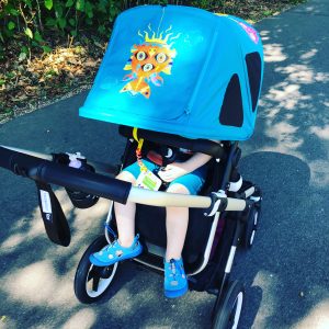 Bugaboo Fox Dach